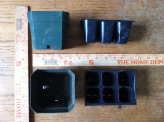 The 10.2 x 10.2 x 7.6 cm container compared against the 2.5 x 2.5 x 5 cm seed tray used to grow the seedlings.